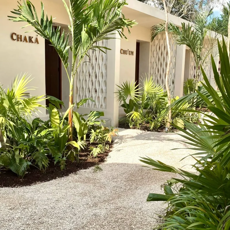 tabula-rasa-aldea-itzamatul-2