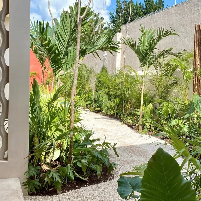 tabula-rasa-aldea-itzamatul-3