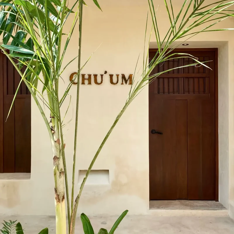 tabula-rasa-aldea-itzamatul-6